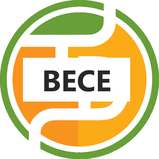 BECE TestDriller 2024  Icon