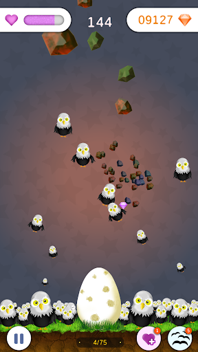 Rock Bird Screen 3