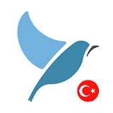 Learn Turkish. Speak Turkish. Study Turkish. icon