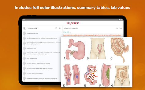 Imágen 23 Medical Surgical RN Companion android