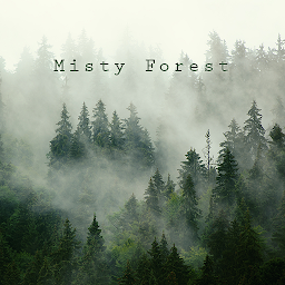 תמונת סמל Misty Forest Theme +HOME