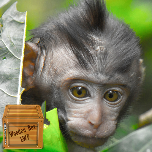 baby monkey wallpaper logo