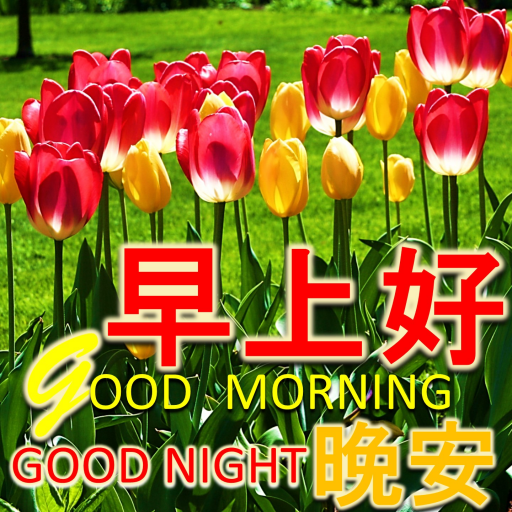 Chinese Good Morning to Night logo