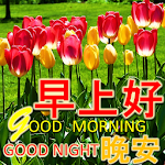 Cover Image of ดาวน์โหลด Chinese Good Morning Noon Good Night Love 4.18.09.0 APK