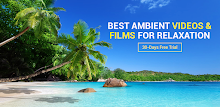 4K Nature Relax TV APK