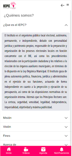 IEPC Chiapas App Screen 3