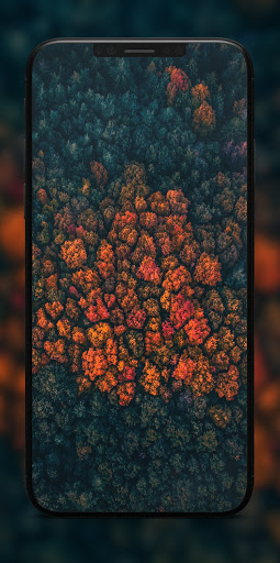 SW Autumn Wallpapers | 4K Screen 2