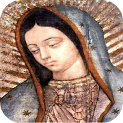 Our Lady of Guadalupe 1.4 Icon