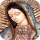 Virgen de Guadalupe تنزيل على نظام Windows