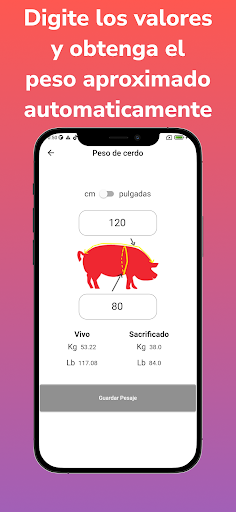 Animal Weight- Pigs and cattle Screen 2