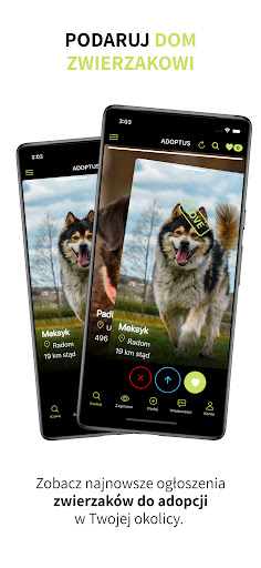 Android application AdoptUs - Adopcja zwierząt screenshort