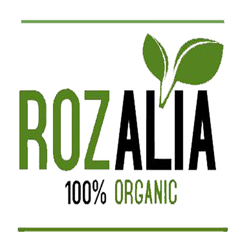 Rozalia Delivery Man logo