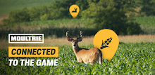 Moultrie APK