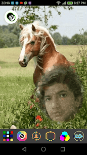 Horse Selfie Photo Frames For Pc, Windows 10/8/7 And Mac – Free Download (2021) 1