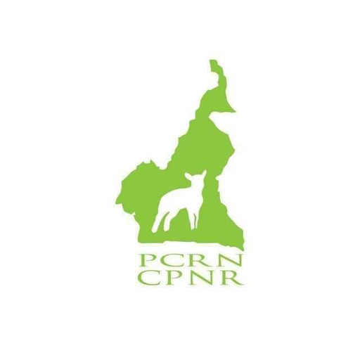 PCRN PARTI Download on Windows