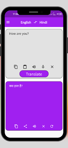 Hindi to English Translator Screen 3