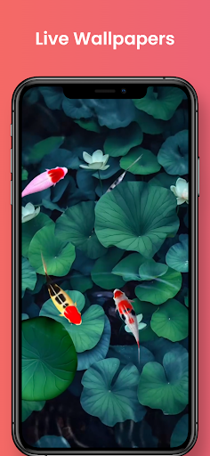 Android application Live Wallpapers screenshort