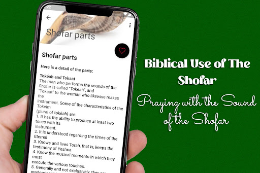 Biblical Use of The Shofar Screen 2