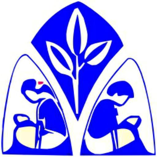 Vijaynagar High School logo