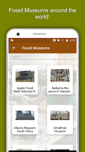 Screenshot of Palaeontology Dictionary App