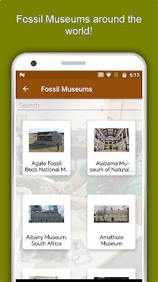 Palaeontology Dictionary Appのおすすめ画像5
