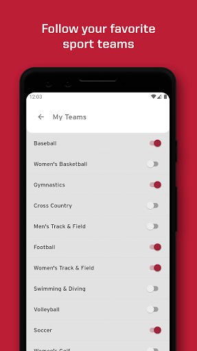 Screenshot of Arkansas Razorbacks