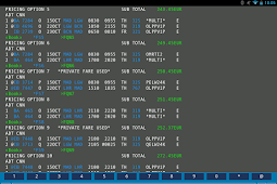 Apollo Travel Agent Software