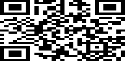 scan qr code Screen 2