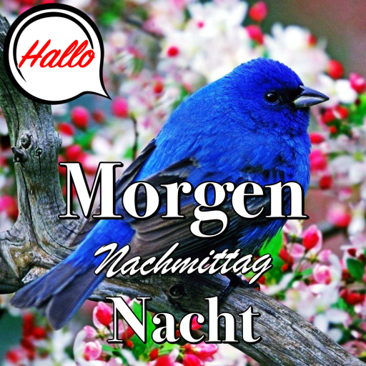German Morning & Night Wishes logo