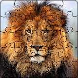 Lion Jigsaw Puzzles icon