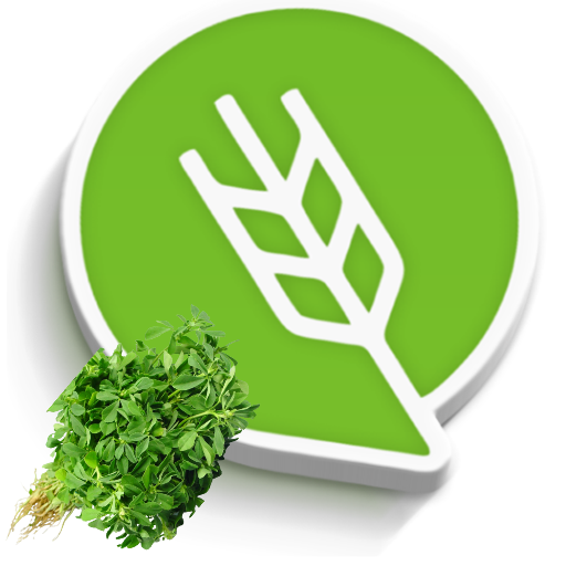 मेथी लागवड #Agrownet™ logo