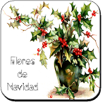 Cover Image of Descargar Flores de Navidad 2021 2.8 APK