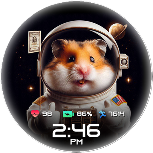 HAMSTER KOMBAT COSMO watchface Download on Windows