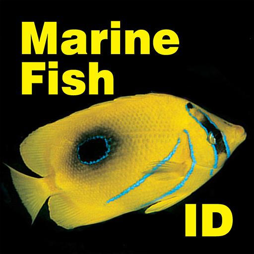 Marine Fish ID Maldives logo
