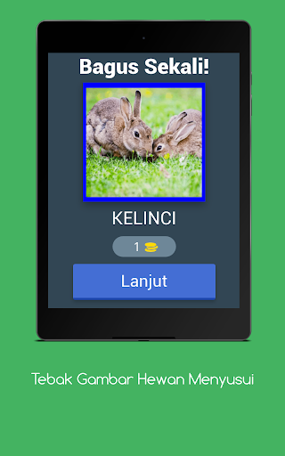 Tebak Gambar Hewan Menyusui