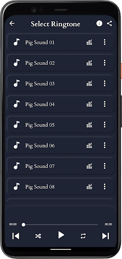 Pig Sounds Screen 3