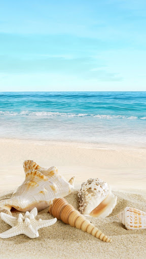 Android application Summer wallpapers screenshort