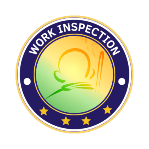 Work Inspection logo