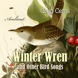 Obraz ikony: Winter Wren and Other Bird Songs: Nature Sounds for Mindfullness