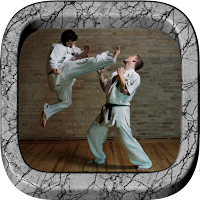 Karate Training Videos