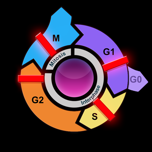 El ciclo celular eucarionte y logo