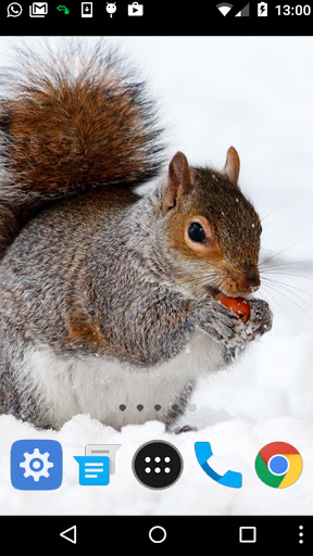 cute squirrel wallpaper Screen 2