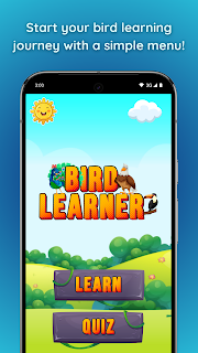Bird Learner