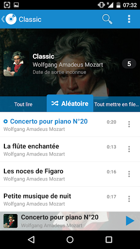 Skin Flatty for PlayerPro V4 Screen 2