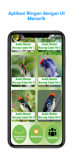 Masteran Burung Cabai Gacor Screen 2
