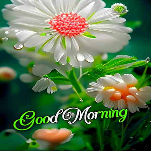 Good Morning Images and Quotes Header - AppWisp.com
