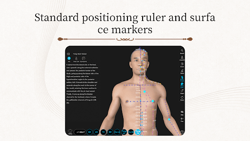 Acupuncture Master screenshot 11