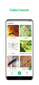 Insect Finder: Identifier screenshot