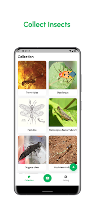 Insect Finder: Identifier screenshot 1
