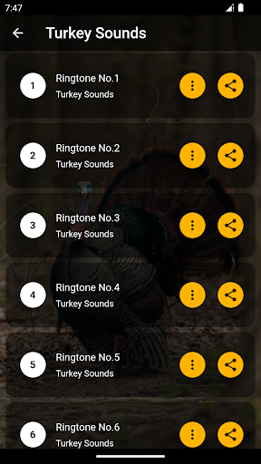 Turkey Ringtones Screen 2